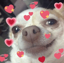 dogfeellovedq Slack emoji