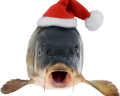 christmasfish1q Slack emoji