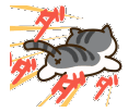 nekoatsume runq Slack emoji