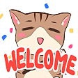 cat wink welcomeq Slack emoji