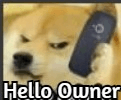 helloownerq Slack emoji