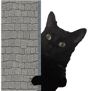 lurkingcatq Slack emoji
