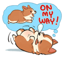omwcorgiq Slack emoji