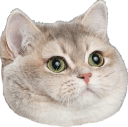 cat heavy breathing Slack emoji