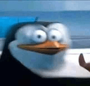 madagascar1q Slack emoji