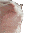 catjam Slack emoji