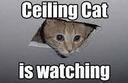 ceilingcatwatching q Slack emoji