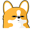 corgi watchingq Slack emoji