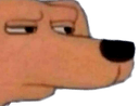 dog side eye skeptical Slack emoji