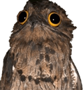 lilowlq Slack emoji