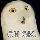 owlohokq Slack emoji