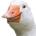 oh guseq Slack emoji