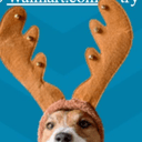 oh deerq Slack emoji