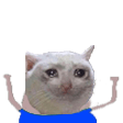 cat peepoq Slack emoji