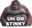 stinkyq Slack emoji