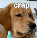 crapdogq Slack emoji