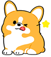 corgi winkq Slack emoji