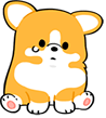 corgo sadq Slack emoji