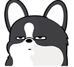 corgi wtf 2q Slack emoji
