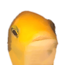 fish shockedq Slack emoji