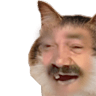 kiisu risitasq Slack emoji