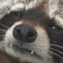 rcoonq Slack emoji