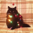 christmas floofq Slack emoji