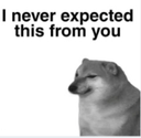 neverexpectedq Slack emoji