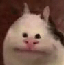 idk tbhq Slack emoji