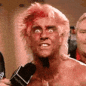 ricflair Slack emoji