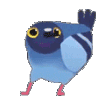 pigeon dance Slack emoji