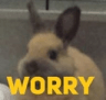 bunworryq Slack emoji