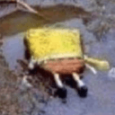 spongededq Slack emoji