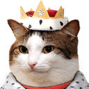 katkingq Slack emoji