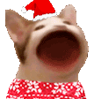 christmaspopq Slack emoji