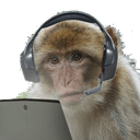 monke gamingq Slack emoji
