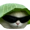 cabbagecatq Slack emoji