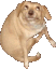 pupwiggleq Slack emoji