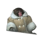 coatmonkeyq Slack emoji