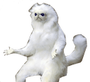 wtfq Slack emoji