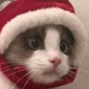 christmaskittenq Slack emoji
