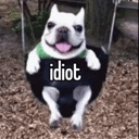 dogidiotq Slack emoji