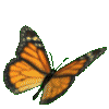 monarch gifq Slack emoji