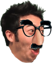 indisguiseq Slack emoji