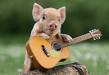 music piggy Slack emoji