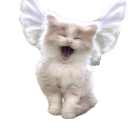 angelkittyq Slack emoji