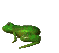 froghopq Slack emoji