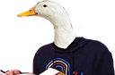duckpersonq Slack emoji