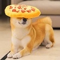 pupperoni pizza Slack emoji