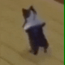 break dance cat Slack emoji